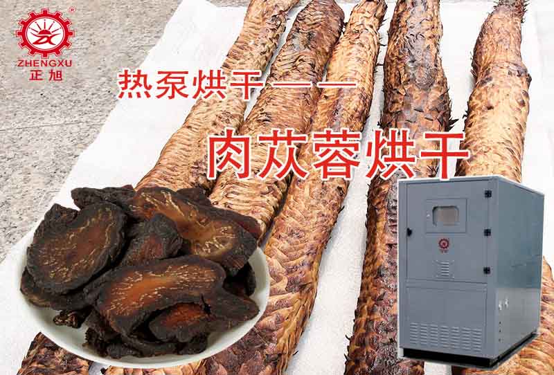 正旭肉蓯蓉熱泵烘干工藝（烘干溫度、時間）